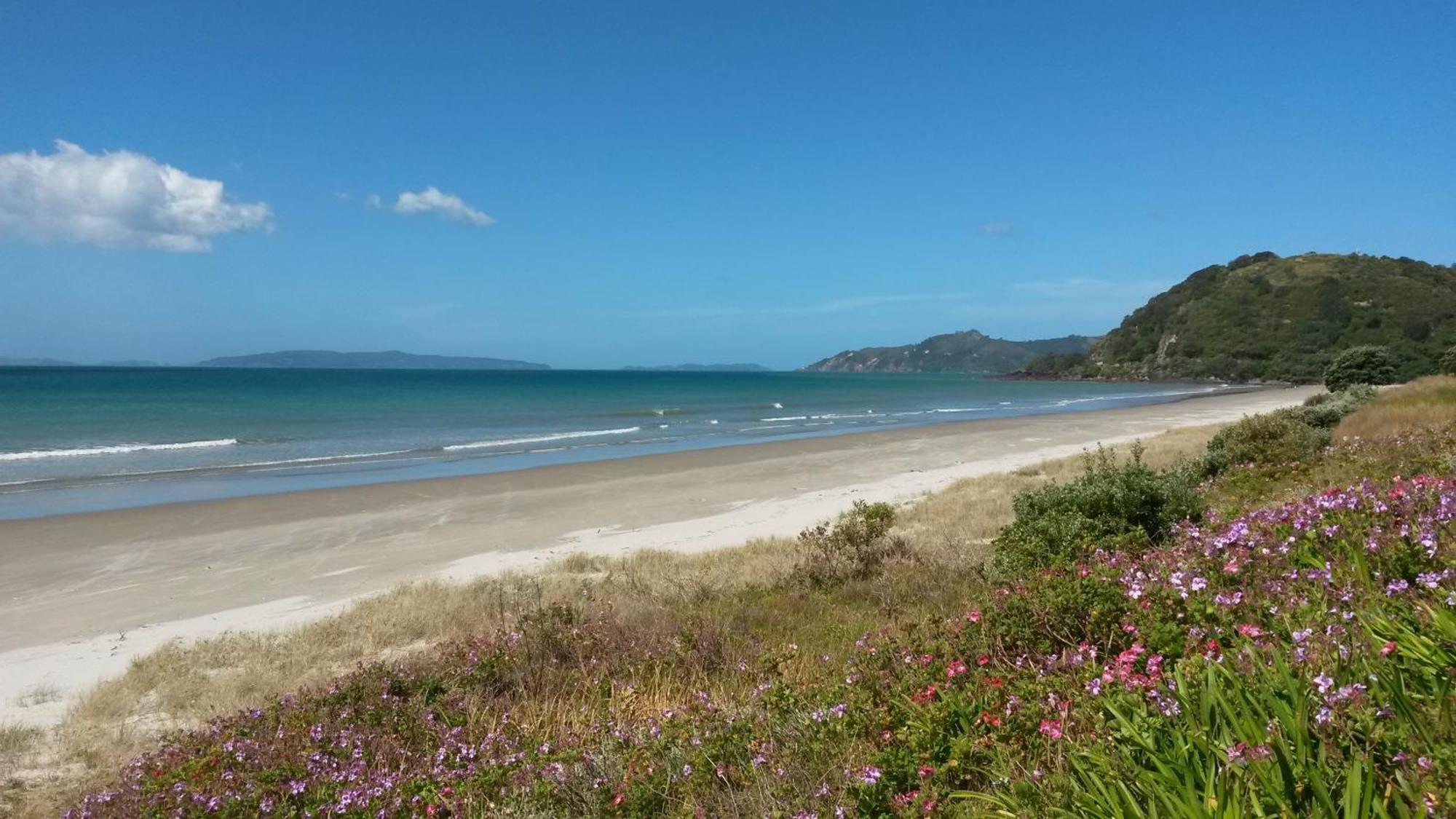 Waimaire Matarangi Bed and Breakfast Buitenkant foto